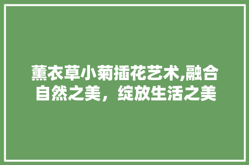 薰衣草小菊插花艺术,融合自然之美，绽放生活之美