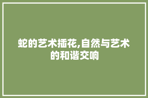 蛇的艺术插花,自然与艺术的和谐交响