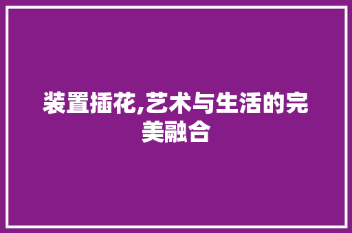 装置插花,艺术与生活的完美融合