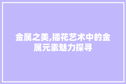 金属之美,插花艺术中的金属元素魅力探寻