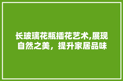 长玻璃花瓶插花艺术,展现自然之美，提升家居品味 造型技术