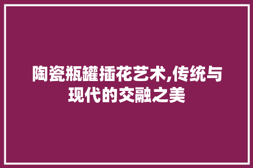 陶瓷瓶罐插花艺术,传统与现代的交融之美