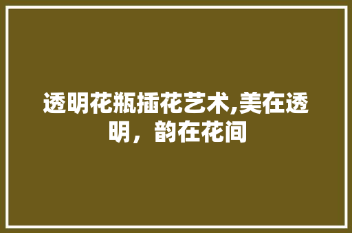 透明花瓶插花艺术,美在透明，韵在花间 种子类