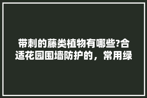 带刺的藤类植物有哪些?合适花园围墙防护的，常用绿化藤类植物有哪些。