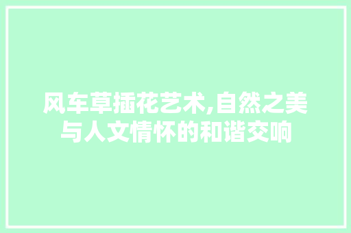 风车草插花艺术,自然之美与人文情怀的和谐交响