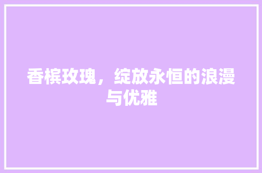 香槟玫瑰，绽放永恒的浪漫与优雅