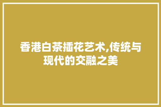 香港白茶插花艺术,传统与现代的交融之美