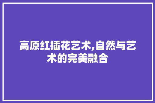 高原红插花艺术,自然与艺术的完美融合 果苗类