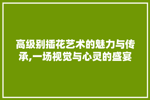 高级别插花艺术的魅力与传承,一场视觉与心灵的盛宴