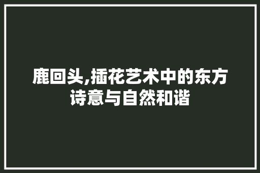 鹿回头,插花艺术中的东方诗意与自然和谐