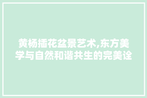黄杨插花盆景艺术,东方美学与自然和谐共生的完美诠释