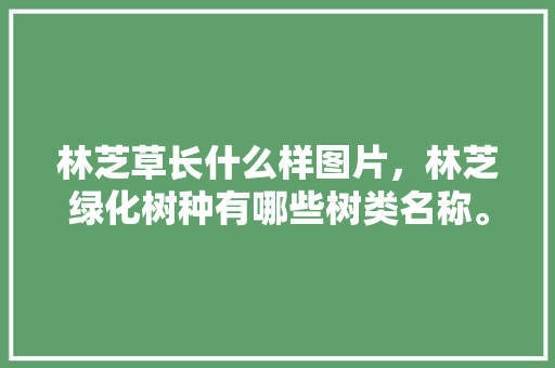林芝草长什么样图片，林芝绿化树种有哪些树类名称。
