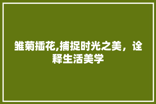 雏菊插花,捕捉时光之美，诠释生活美学 种子类