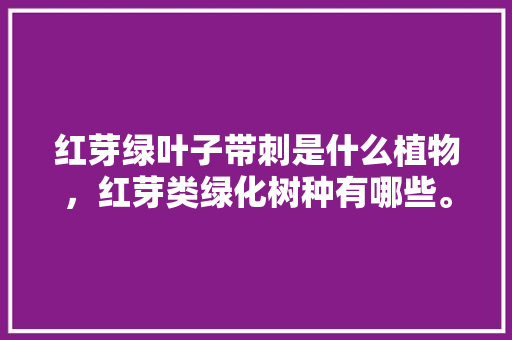 红芽绿叶子带刺是什么植物，红芽类绿化树种有哪些。