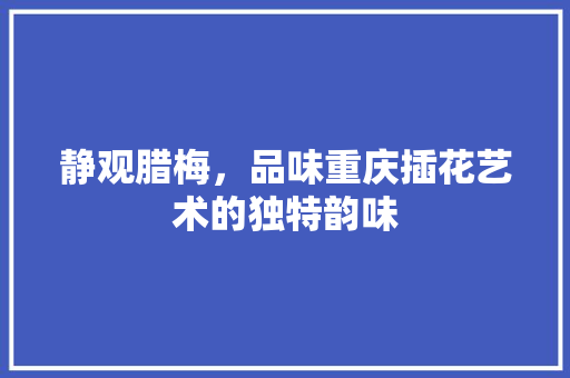 静观腊梅，品味重庆插花艺术的独特韵味