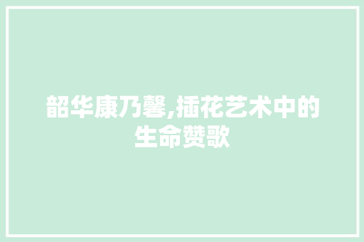 韶华康乃馨,插花艺术中的生命赞歌