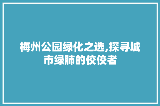 梅州公园绿化之选,探寻城市绿肺的佼佼者