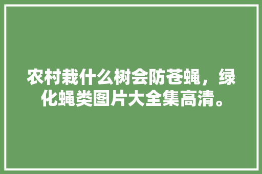 农村栽什么树会防苍蝇，绿化蝇类图片大全集高清。