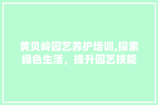 黄贝岭园艺养护培训,探索绿色生活，提升园艺技能