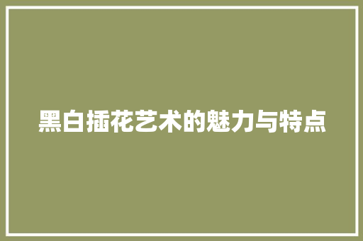 黑白插花艺术的魅力与特点