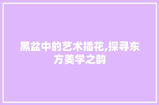 黑盆中的艺术插花,探寻东方美学之韵