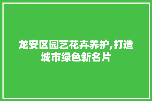 龙安区园艺花卉养护,打造城市绿色新名片
