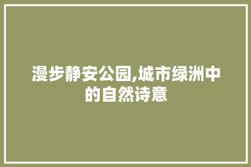 漫步静安公园,城市绿洲中的自然诗意