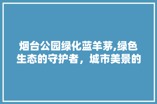 烟台公园绿化蓝羊茅,绿色生态的守护者，城市美景的缔造者