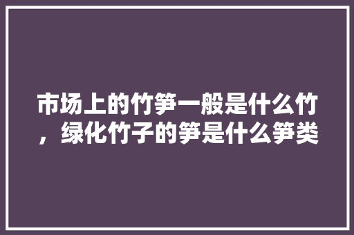 市场上的竹笋一般是什么竹，绿化竹子的笋是什么笋类图片。