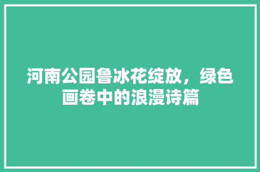 河南公园鲁冰花绽放，绿色画卷中的浪漫诗篇