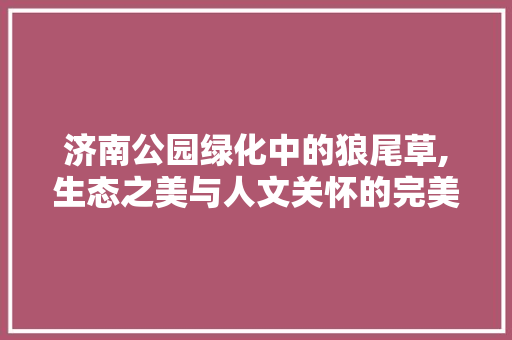 济南公园绿化中的狼尾草,生态之美与人文关怀的完美融合
