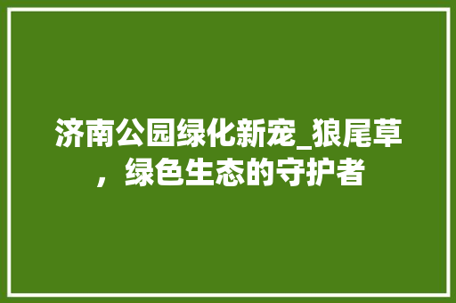 济南公园绿化新宠_狼尾草，绿色生态的守护者