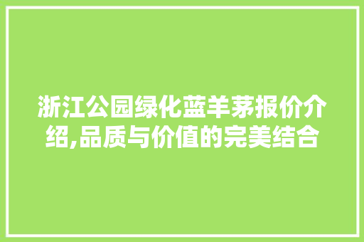 浙江公园绿化蓝羊茅报价介绍,品质与价值的完美结合
