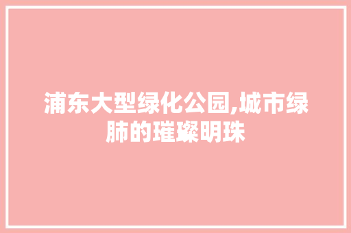 浦东大型绿化公园,城市绿肺的璀璨明珠