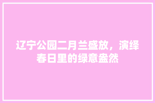 辽宁公园二月兰盛放，演绎春日里的绿意盎然