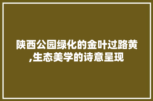 陕西公园绿化的金叶过路黄,生态美学的诗意呈现