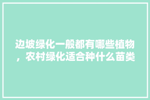 边坡绿化一般都有哪些植物，农村绿化适合种什么苗类植物。
