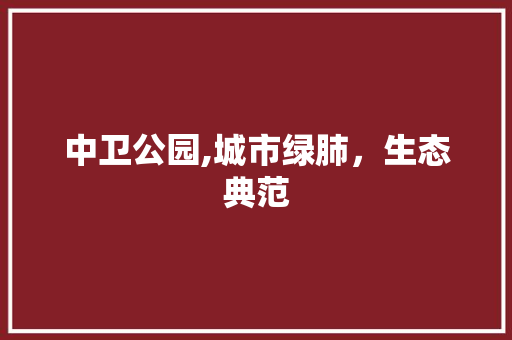中卫公园,城市绿肺，生态典范