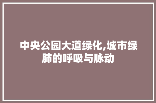 中央公园大道绿化,城市绿肺的呼吸与脉动