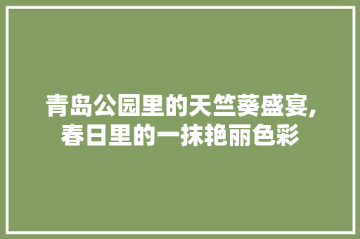 青岛公园里的天竺葵盛宴,春日里的一抹艳丽色彩