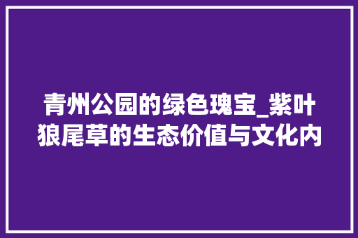 青州公园的绿色瑰宝_紫叶狼尾草的生态价值与文化内涵