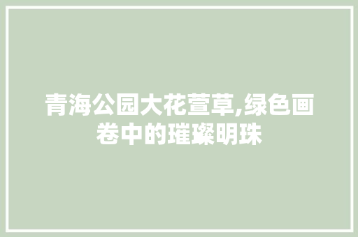 青海公园大花萱草,绿色画卷中的璀璨明珠
