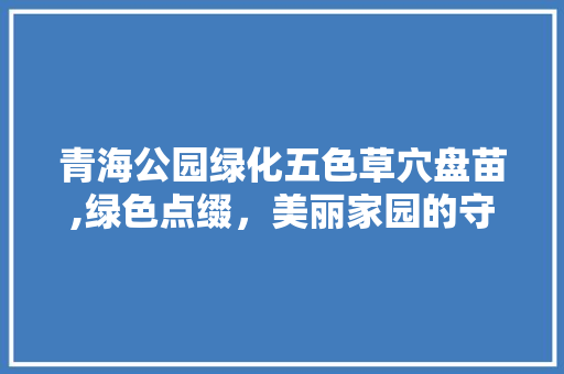 青海公园绿化五色草穴盘苗,绿色点缀，美丽家园的守护者