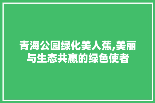 青海公园绿化美人蕉,美丽与生态共赢的绿色使者