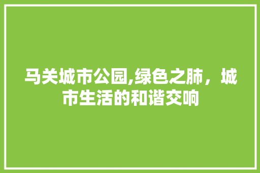 马关城市公园,绿色之肺，城市生活的和谐交响