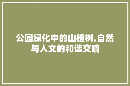 公园绿化中的山楂树,自然与人文的和谐交响