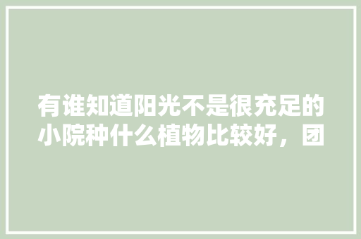 有谁知道阳光不是很充足的小院种什么植物比较好，团状叶材有哪些。  第1张 有谁知道阳光不是很充足的小院种什么植物比较好，团状叶材有哪些。 种植技术