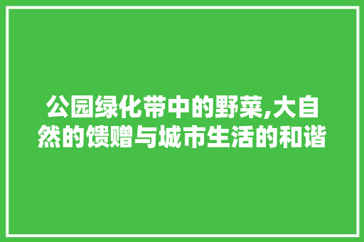 公园绿化带中的野菜,大自然的馈赠与城市生活的和谐交响