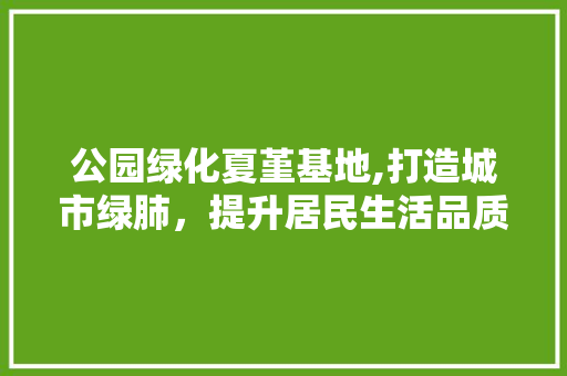 公园绿化夏堇基地,打造城市绿肺，提升居民生活品质