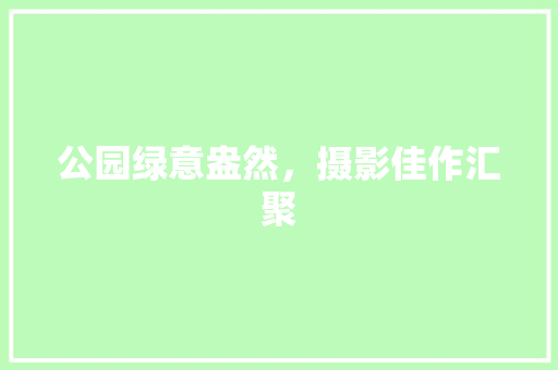 公园绿意盎然，摄影佳作汇聚